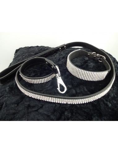 Extravagantes Strass Hundehalsband/Leine