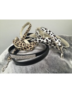 Hundeleine in diversen Farben